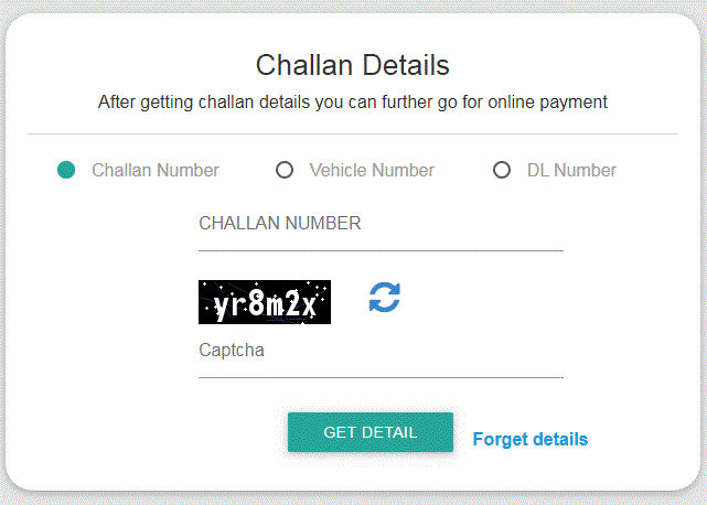 Traffic Violation e-challan online details