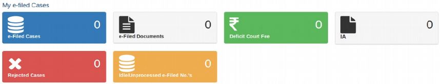My Efiled Cases